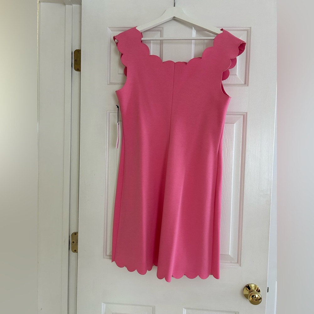 Pink Dress with scalloped hem and neckline.Perfect condition.  Never worn.